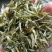 云南普洱茶