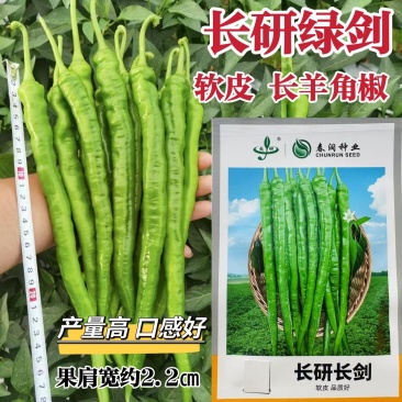 长研辣椒种子长剑长羊角椒种子高产香辣粗长线椒种籽软皮辣椒