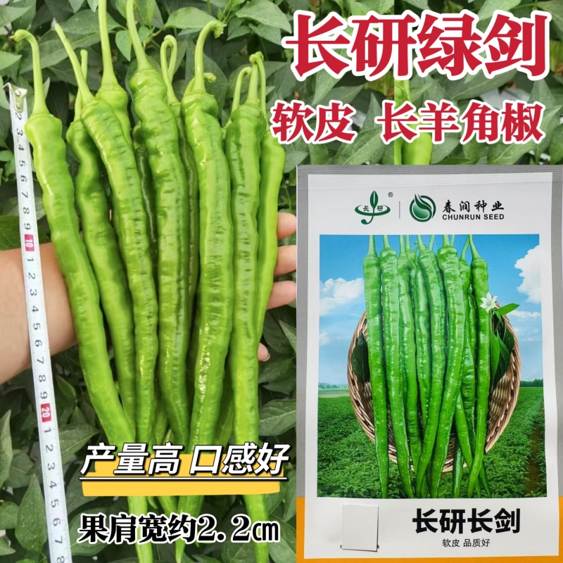 长研辣椒种子长剑长羊角椒种子高产香辣粗长线椒种籽软皮辣椒