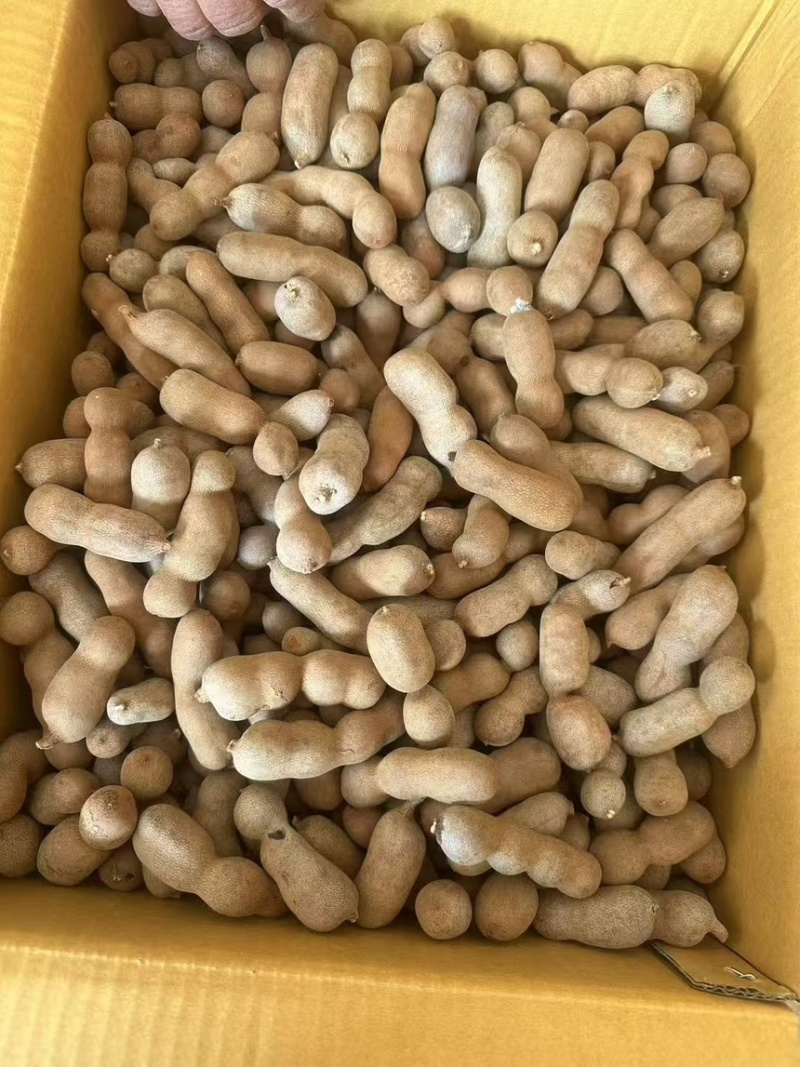 酸甜角一件代发全国发货