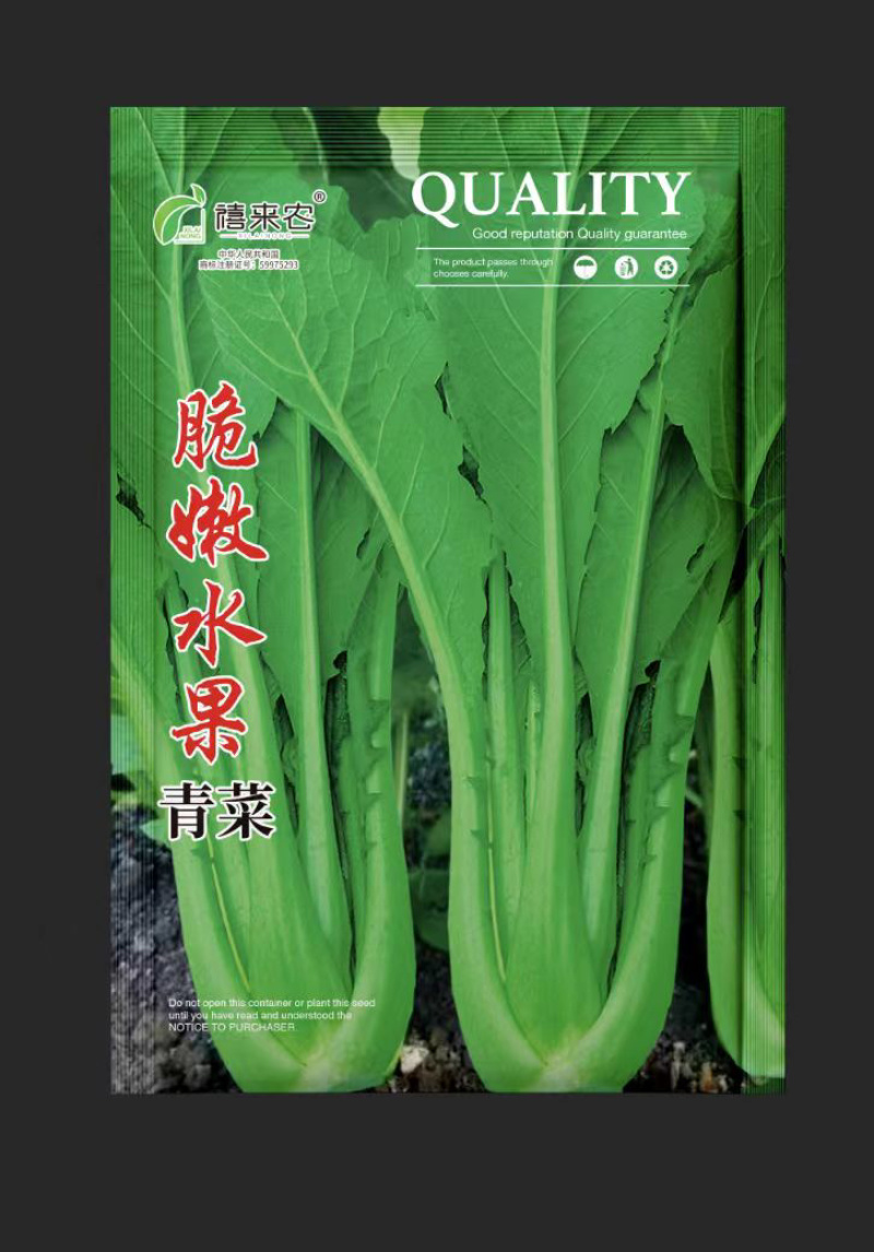 云南特色四季播种绿杆青菜种子小苦菜味略苦花叶宽叶菜
