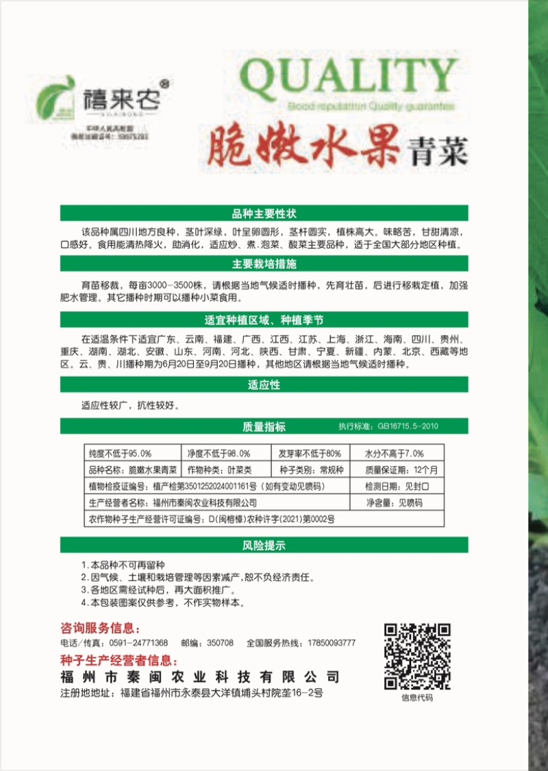 云南特色四季播种绿杆青菜种子小苦菜味略苦花叶宽叶菜