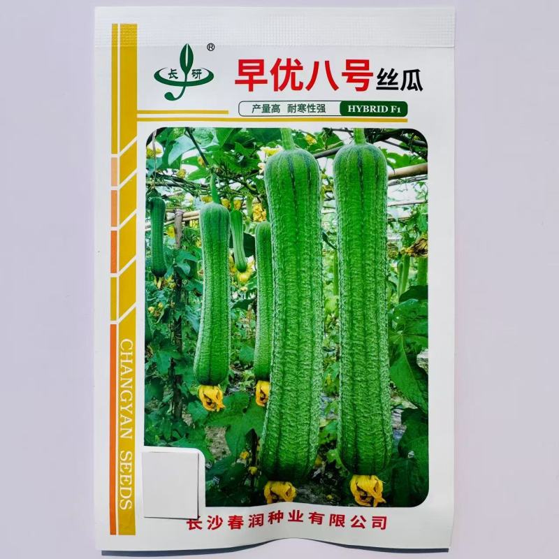 春润丝瓜种子早熟早优八号丝瓜种子不显老耐寒耐热春夏秋丝瓜