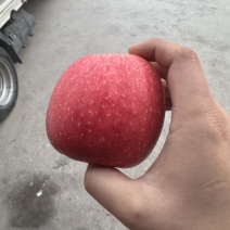 甘肃静宁，高次红富士，价格便宜