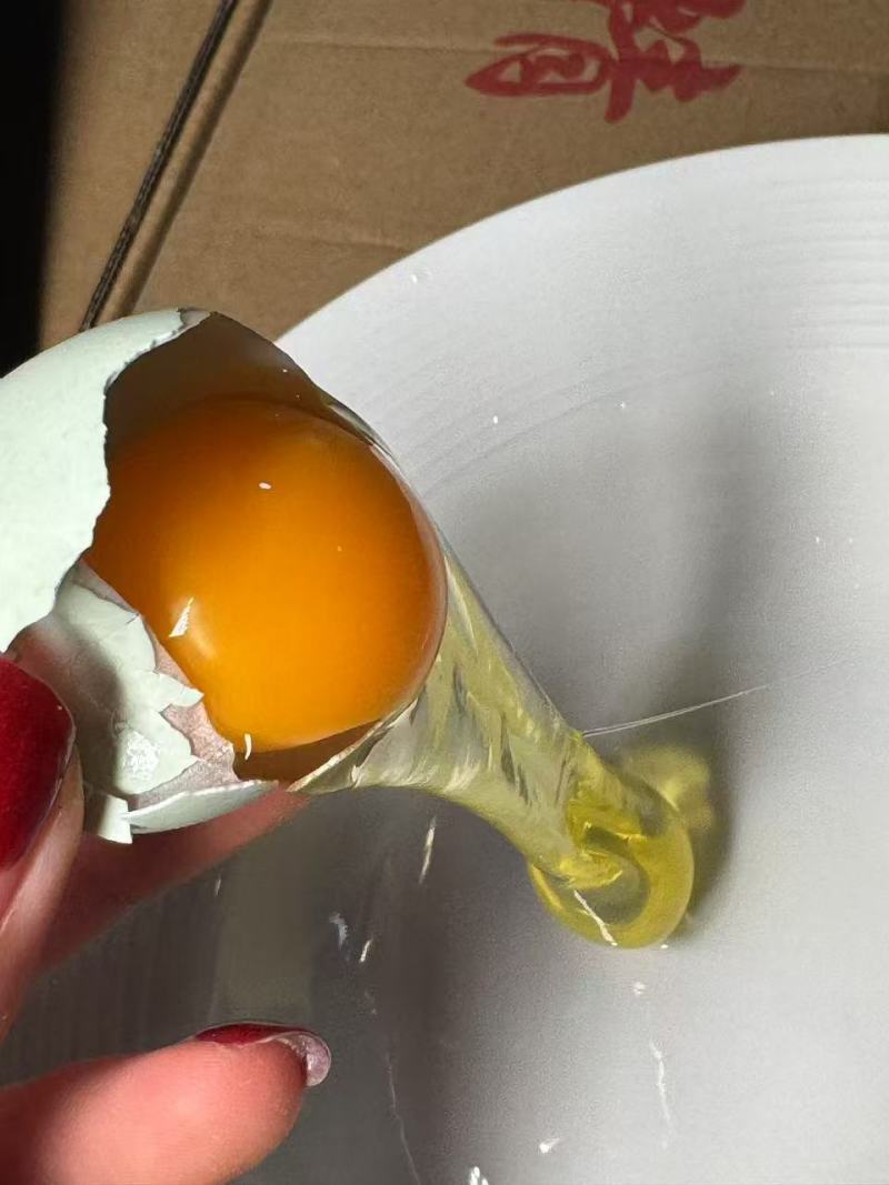 【自产自销】高品质散养乌鸡蛋绿壳蛋360枚码号齐