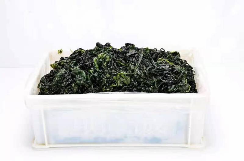 裙带菜