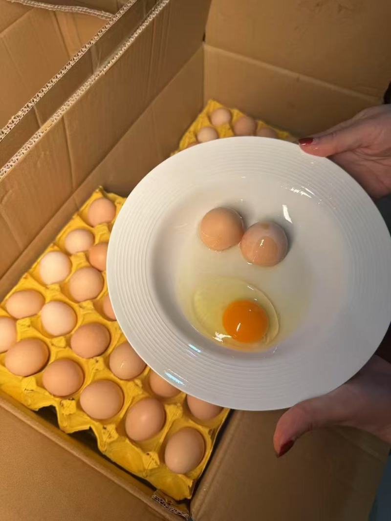 【自产自销】高品质散养土鸡蛋粉蛋360枚/箱码号齐全