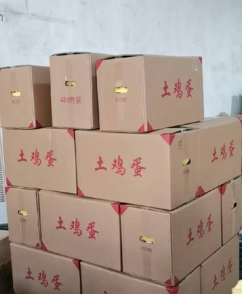 【自产自销】高品质散养土鸡蛋粉蛋360枚/箱码号齐全