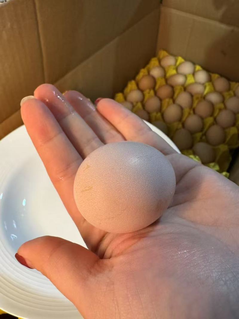 【自产自销】高品质散养土鸡蛋粉壳360枚/箱码号齐