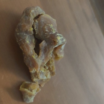 鸡宝鸡宝需要联系