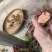 百分百野生牛耳大黄新鲜大约可现挖*斤