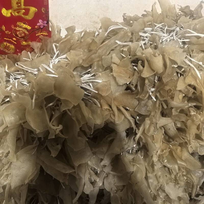 干小皮