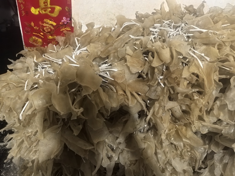干小皮