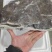 银雪鱼肉皮，银雪鱼皮，