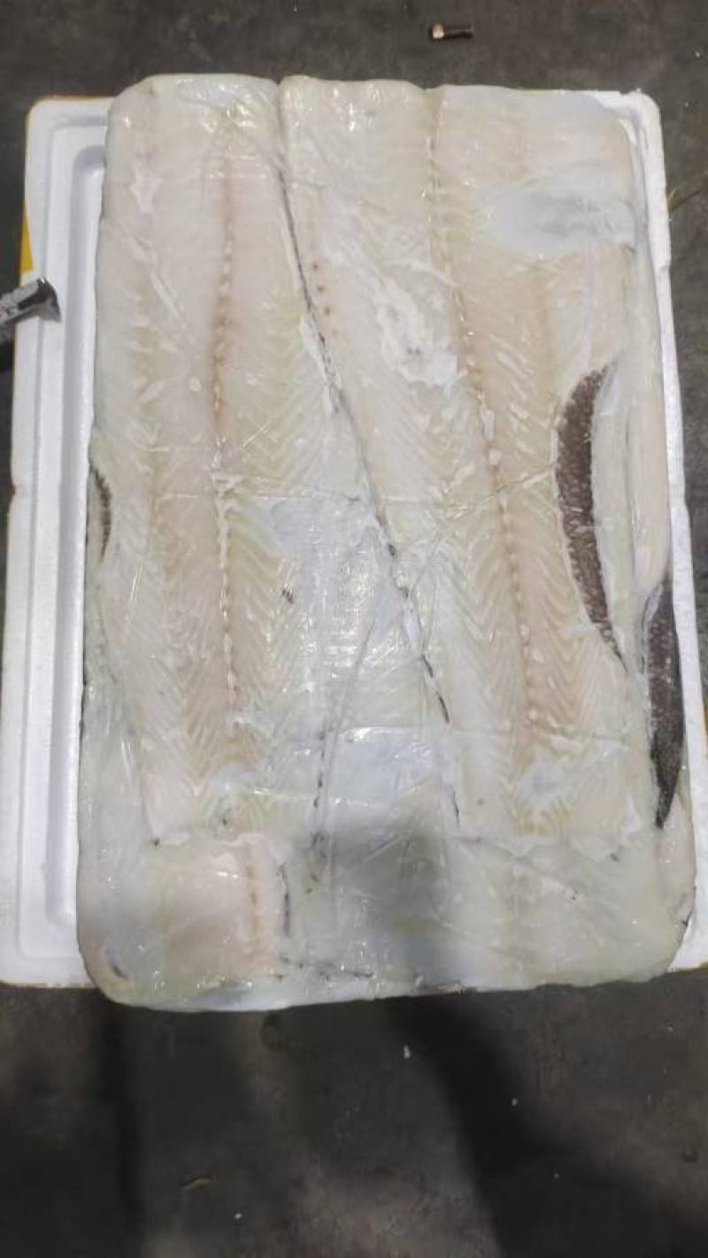 银雪鱼肉皮，银雪鱼皮，