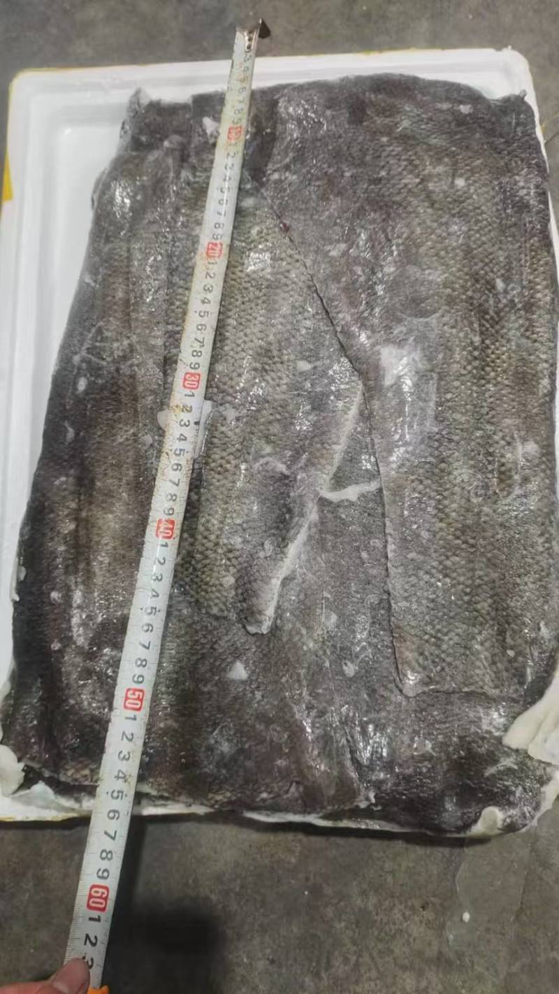 银雪鱼肉皮，银雪鱼皮，