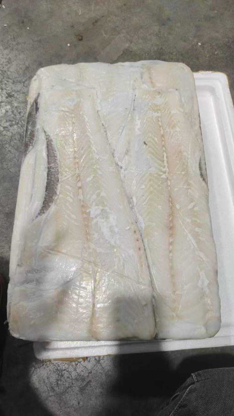 银雪鱼肉皮，银雪鱼皮，