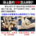 党参大中小条，切段，支持视频看货诚信经营