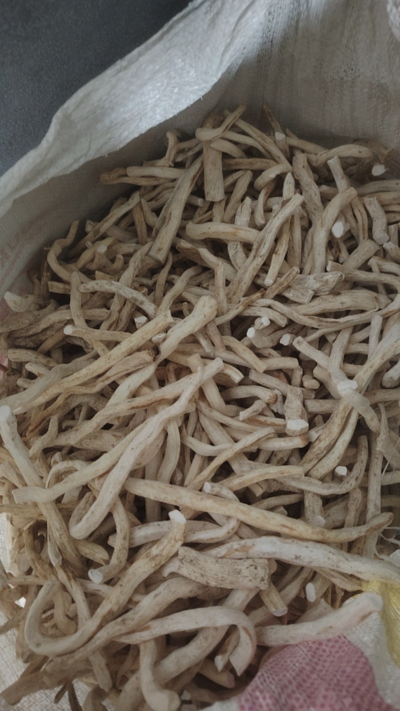 山药光条个子