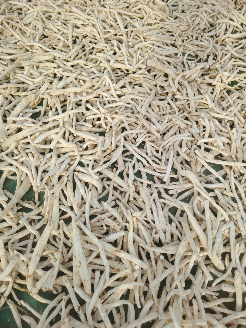 山药光条个子