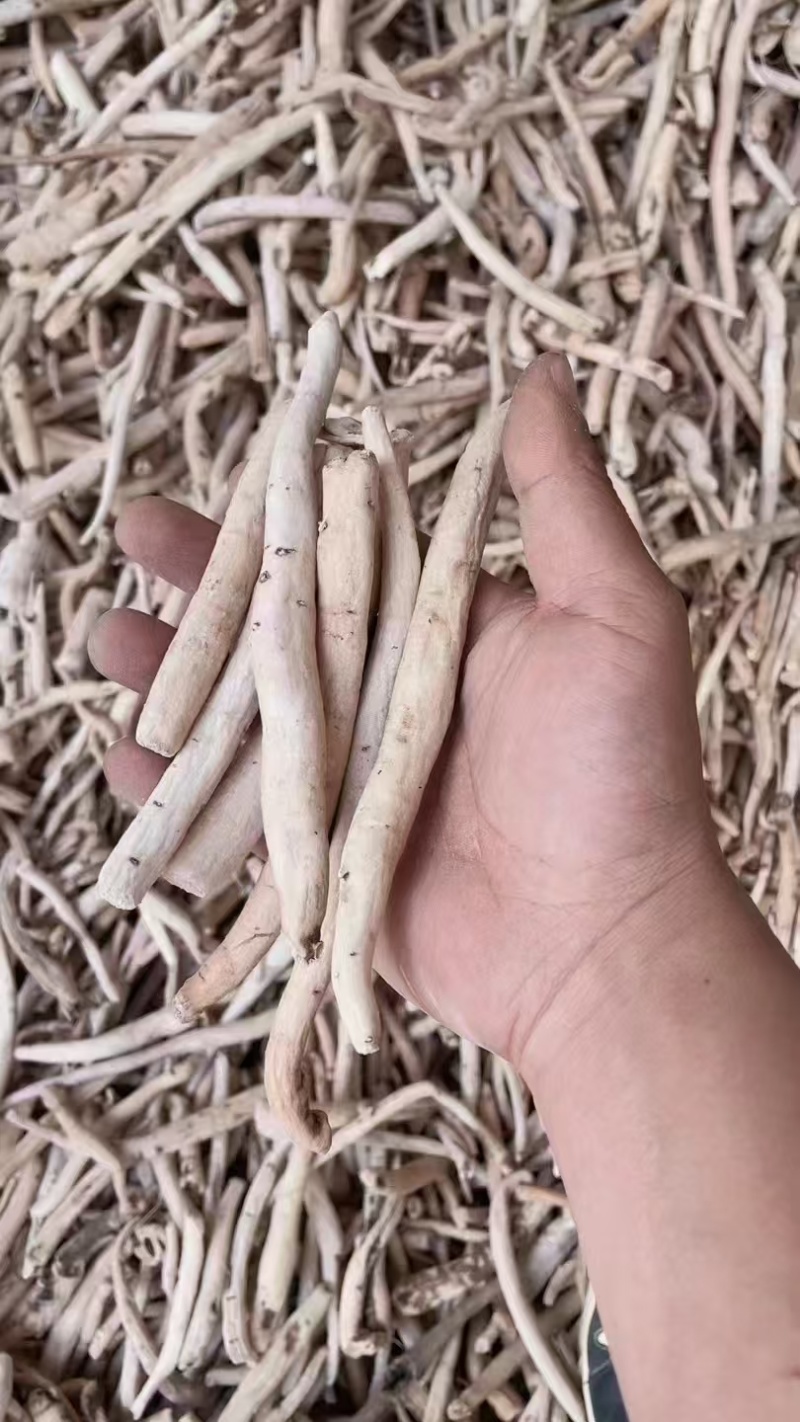 白芍无硫1-4级个子尾芍各种规格片子狗头片
