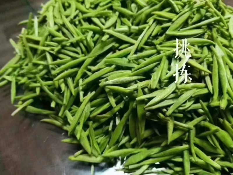 洞庭山碧螺春