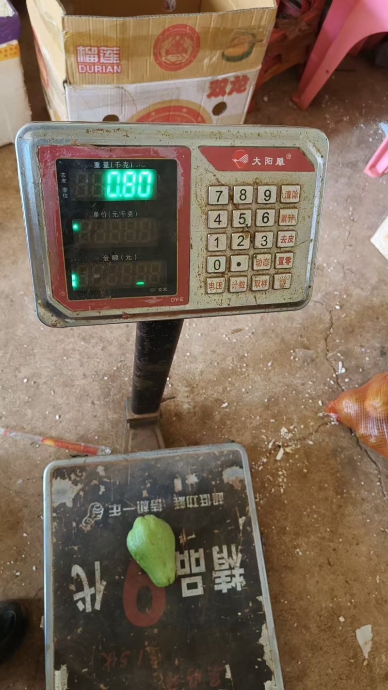 佛手瓜，货源充足，带年供应，需要请联系