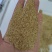 四川筛糠，除尘糠0.8--2.0规格，米厂直供，按需生产