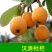汉源大五星枇杷大量供应，新鲜采摘，量大从优欢迎咨