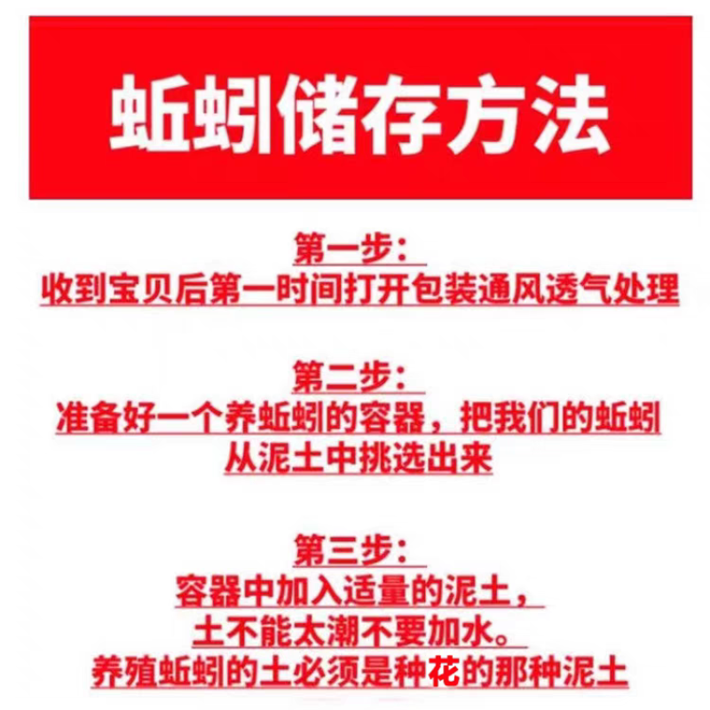 鲜活黑蚯蚓钓黄鳝青蚯蚓特大臭蚯蚓地龙活体蚯蚓野钓钓鱼鱼饵
