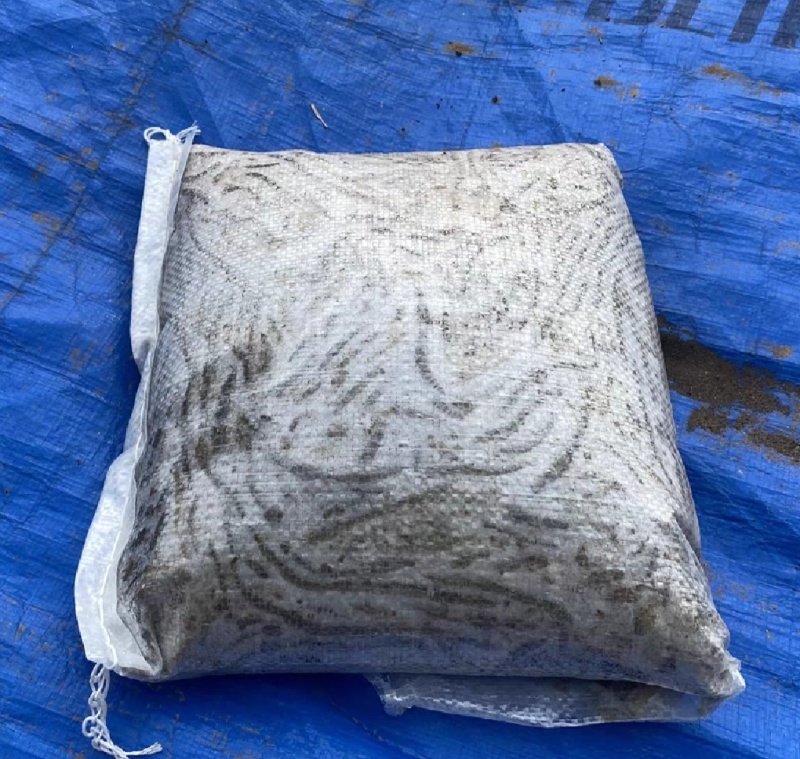 湖北速冻活体青蚯蚓钓黄鳝特大冰蚯蚓养殖黄鳝开口饵料