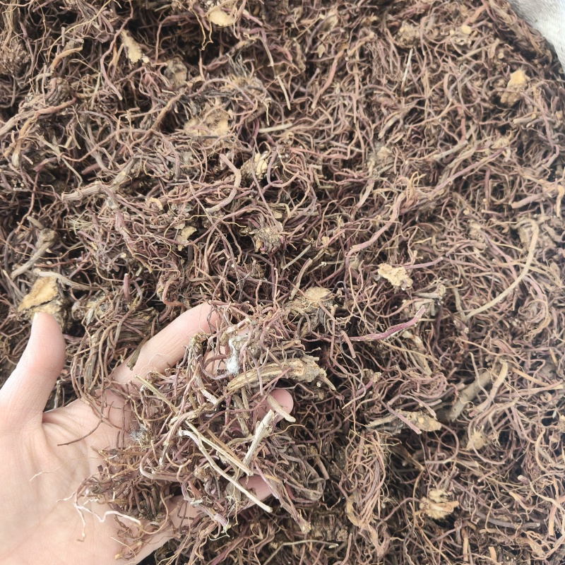 紫苑价格优惠祥泰药材栈中药材批发零售实物拍摄量多从优