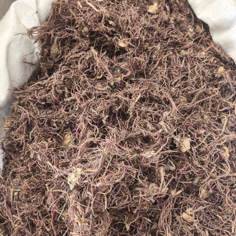 紫苑价格优惠祥泰药材栈中药材批发零售实物拍摄量多从优