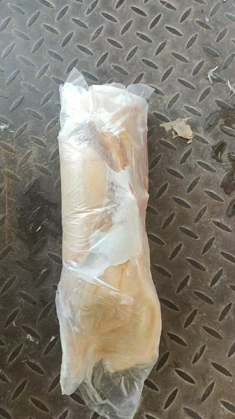 二级大白条鸭