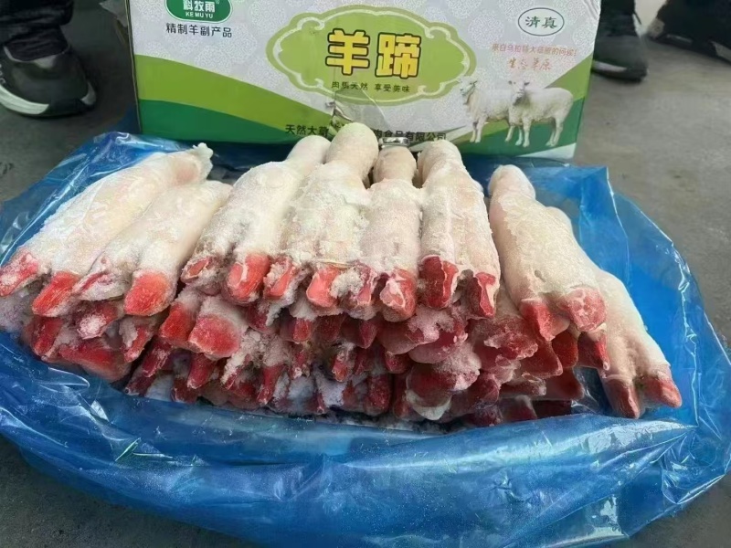 育肥羊蹄白蹄