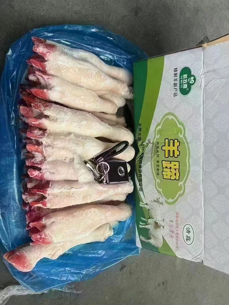 育肥羊蹄白蹄