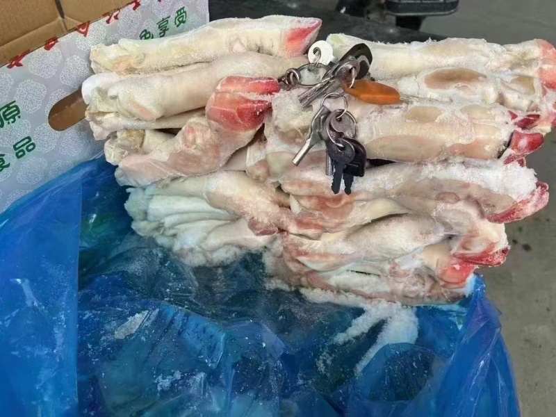育肥羊蹄白蹄