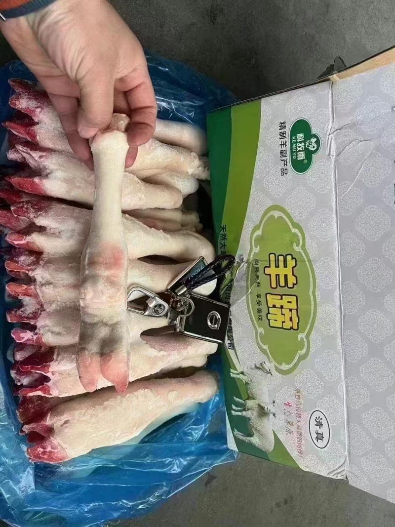 育肥羊蹄白蹄