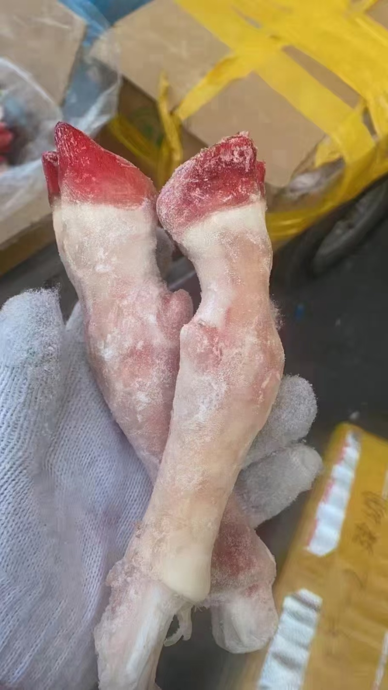 纯干羊蹄白蹄纯干带筋不含冰