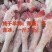 纯干羊蹄白蹄纯干带筋不含冰
