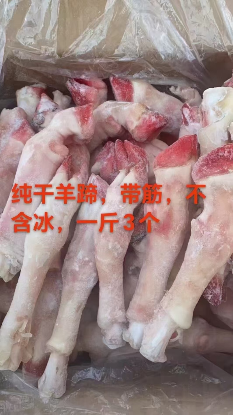 纯干羊蹄白蹄纯干带筋不含冰