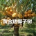 新品泰国牛奶香椰子树苗奶香味矮化阳台盆栽地栽庭院种植风景