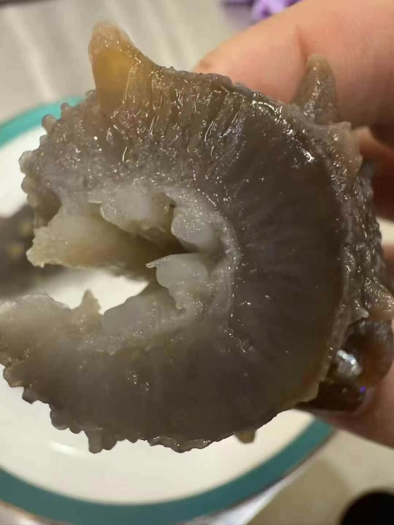 大连刺参速冻海参即食海参20头厂家直发一件代发