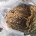 白菜芯