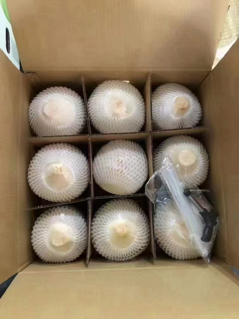 （推荐）精品椰子/椰青/产地直发/整车代发/电商，团购