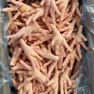 鸡爪凤爪鲜鸡爪大号鸡爪无碱鸡爪