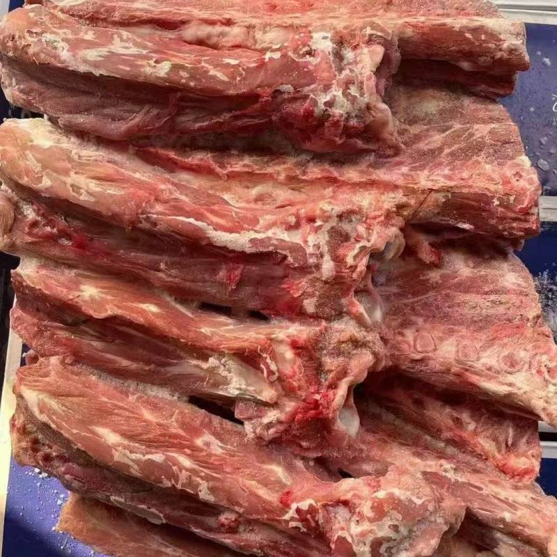 多肉羊蝎子脖骨脊骨尾骨