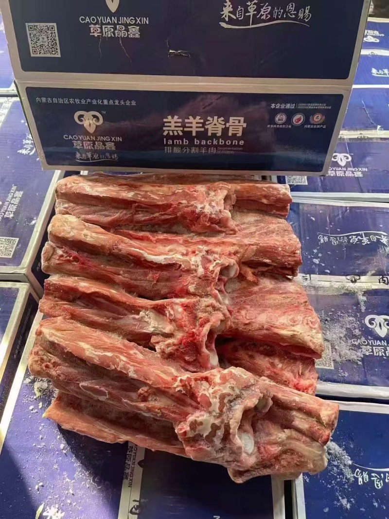 多肉羊蝎子脖骨脊骨尾骨