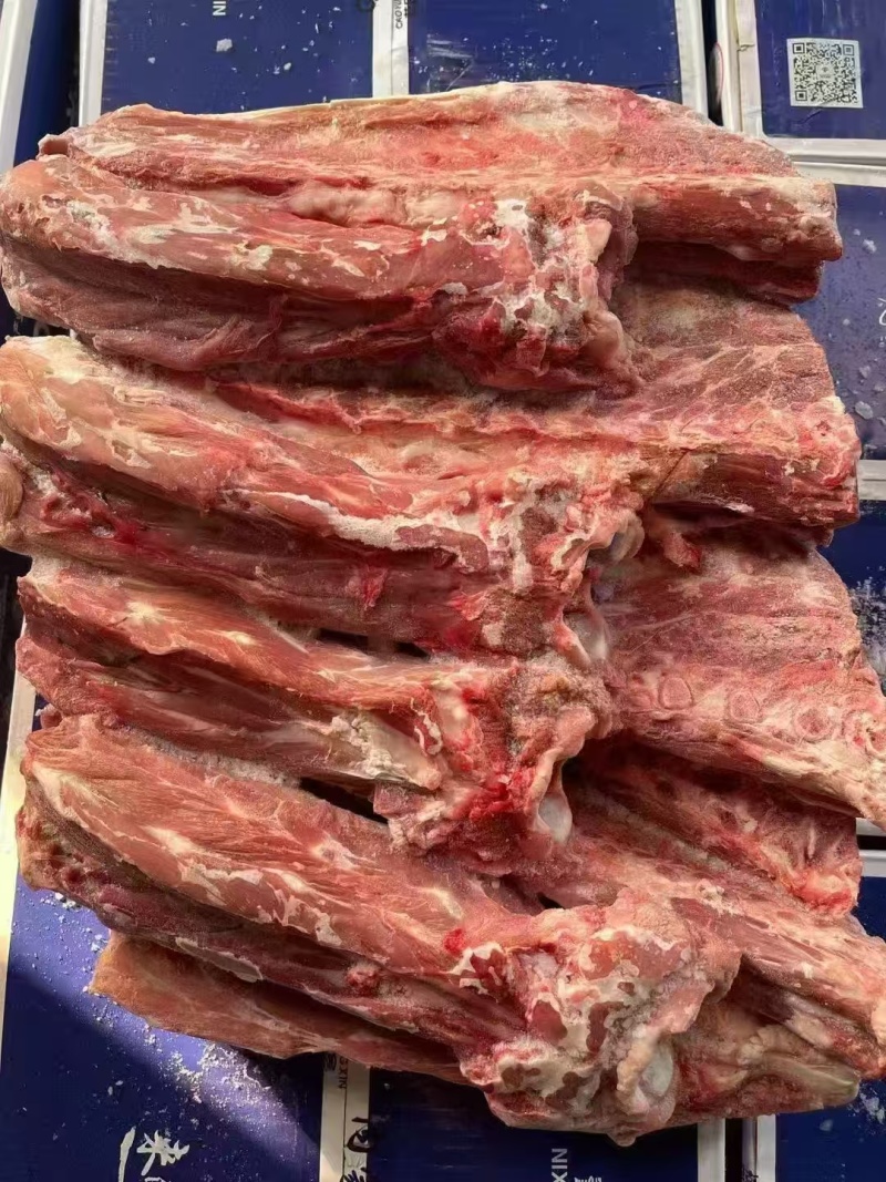 多肉羊蝎子脖骨脊骨尾骨