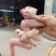 鸭三节三节翅无碱鸭翅大号鸭翅鲜鸭翅